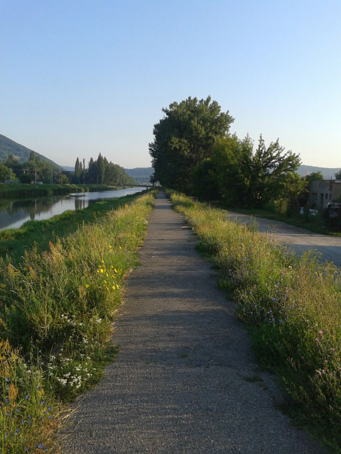 фото дорожки в парке