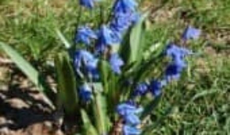 У природы нет плохой погоды – в Кошице