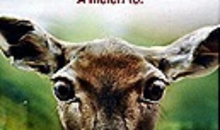 У страха глаза велики?