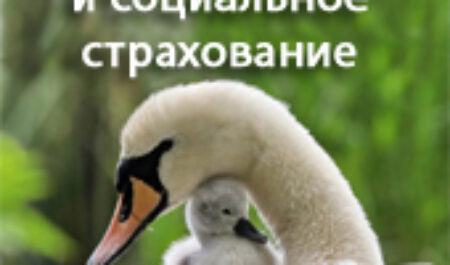 Медицинское и социальное страхование для предпринимателей в Словакии в 2025 году
