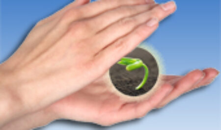 Медицинские и социальные платежи в 2015 году