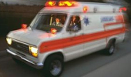 Выжить любой ценой