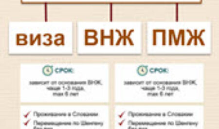 Инфографика: виза, ВНЖ, ПМЖ Словакии