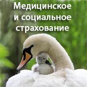 Вы напряженно размышляете, куда эмигрировать из Украины или России? Ну конечно же, в Словакию, бесплатное получение skype кредита.